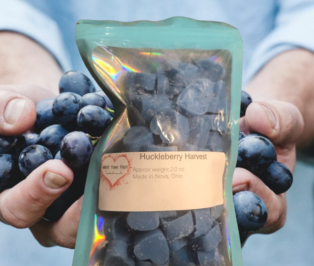 Huckleberry Harvest