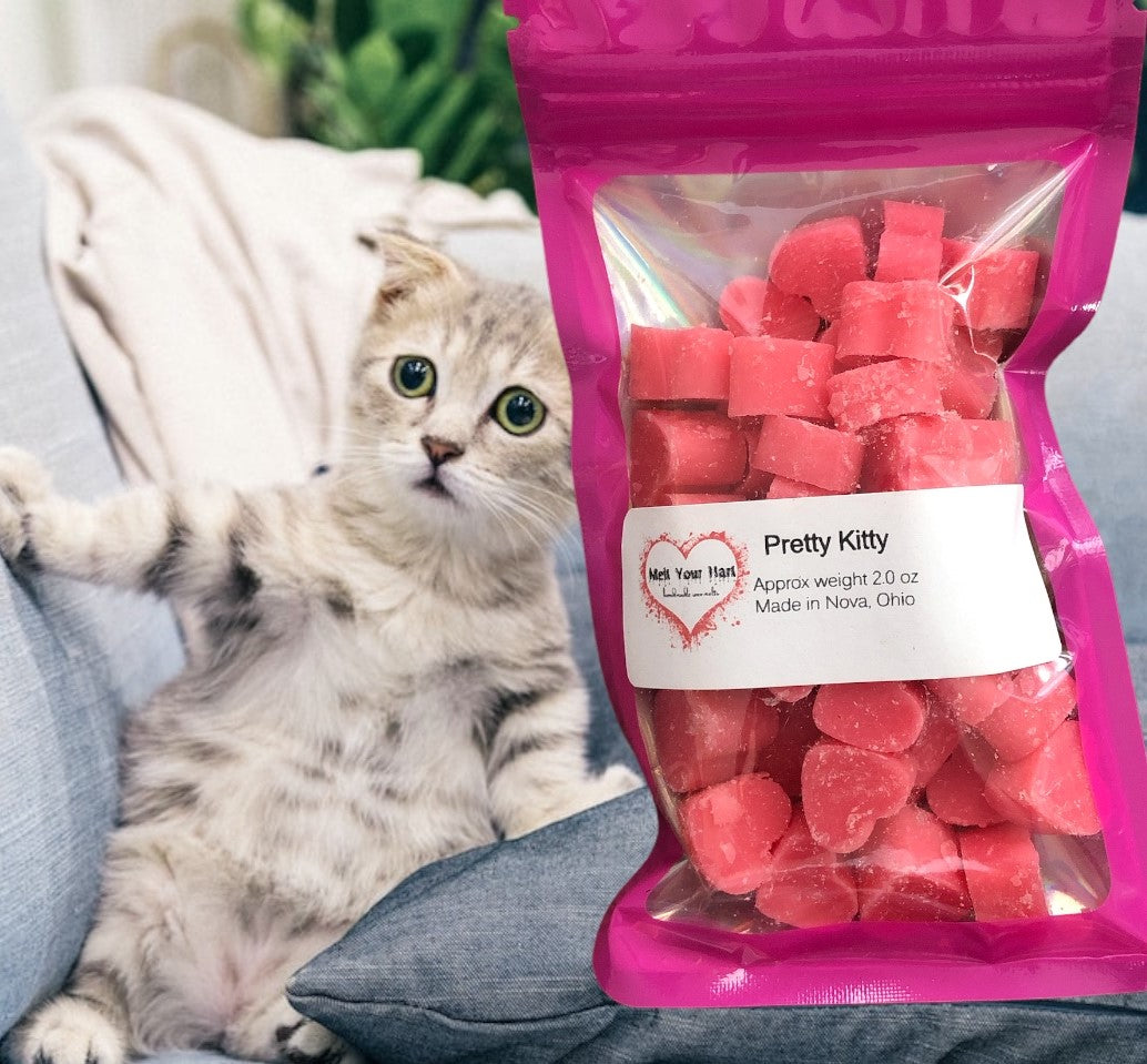 Pretty Kitty