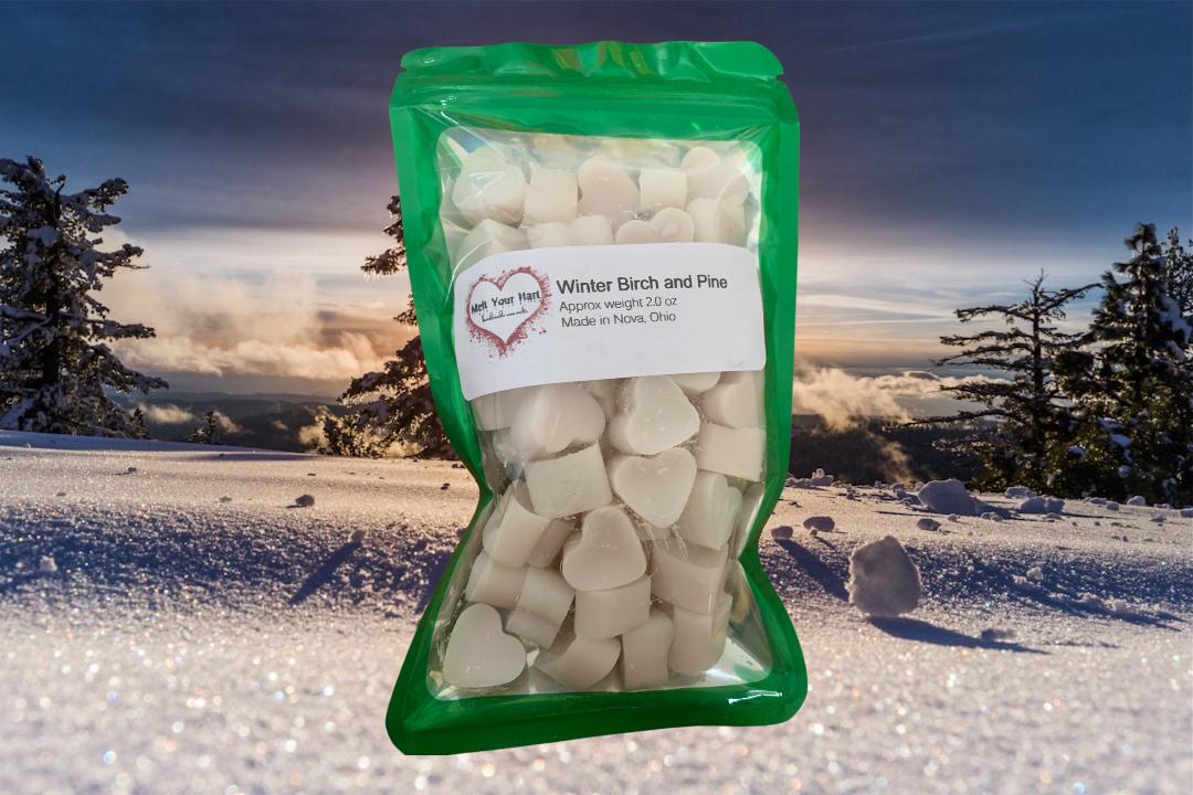 Winter birch and Pine