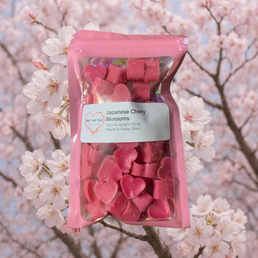 Japanese Cherry Blossoms